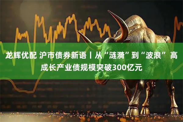 龙辉优配 沪市债券新语丨从“涟漪”到“波浪” 高成长产业债规模突破300亿元