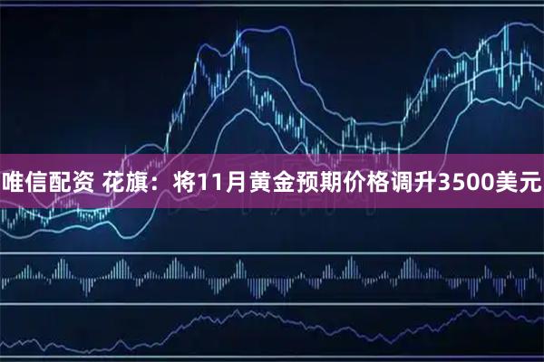 唯信配资 花旗：将11月黄金预期价格调升3500美元
