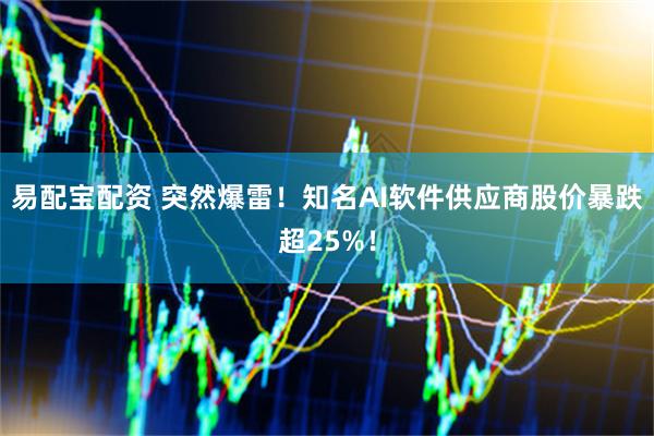 易配宝配资 突然爆雷！知名AI软件供应商股价暴跌超25%！