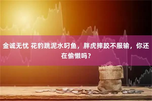 金诚无忧 花豹跳泥水叼鱼，胖虎摔跤不服输，你还在偷懒吗？