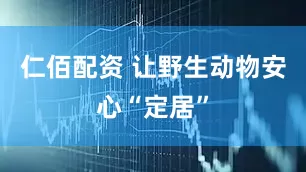 仁佰配资 让野生动物安心“定居”
