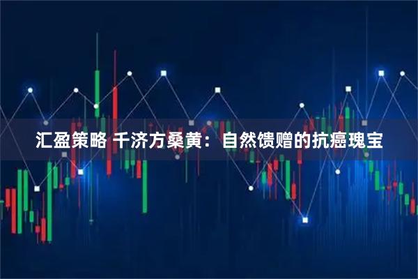汇盈策略 千济方桑黄：自然馈赠的抗癌瑰宝