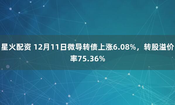 星火配资 12月11日微导转债上涨6.08%，转股溢价率75.36%