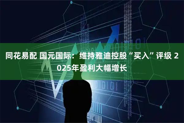 同花易配 国元国际：维持雅迪控股“买入”评级 2025年盈利大幅增长
